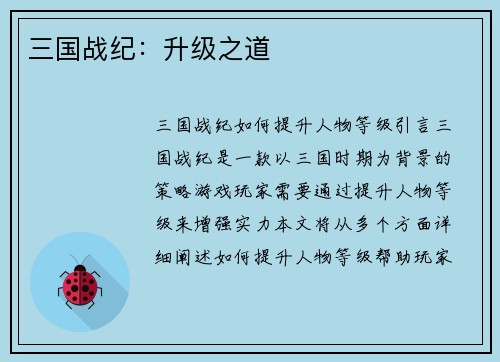 三国战纪：升级之道